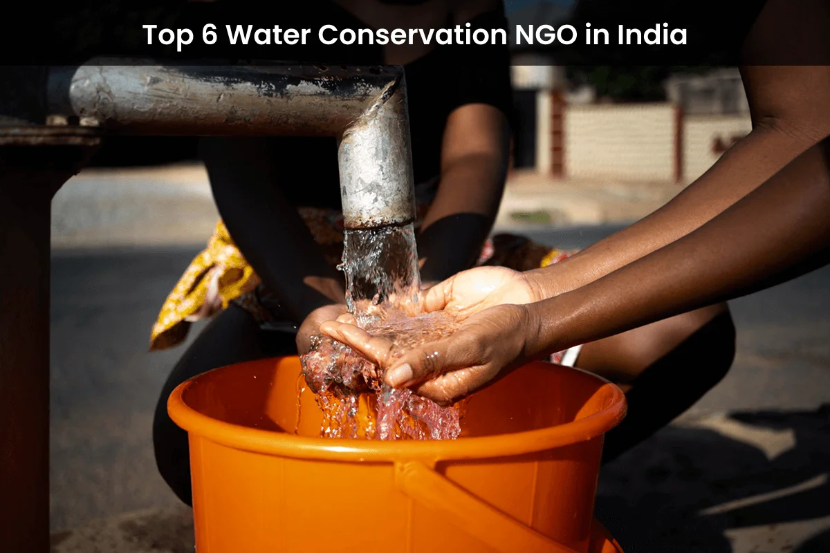 Top Water Conservation NGO
